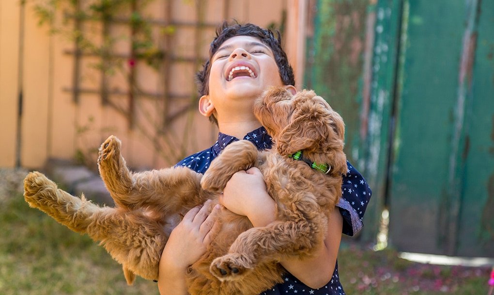 Adoption Process