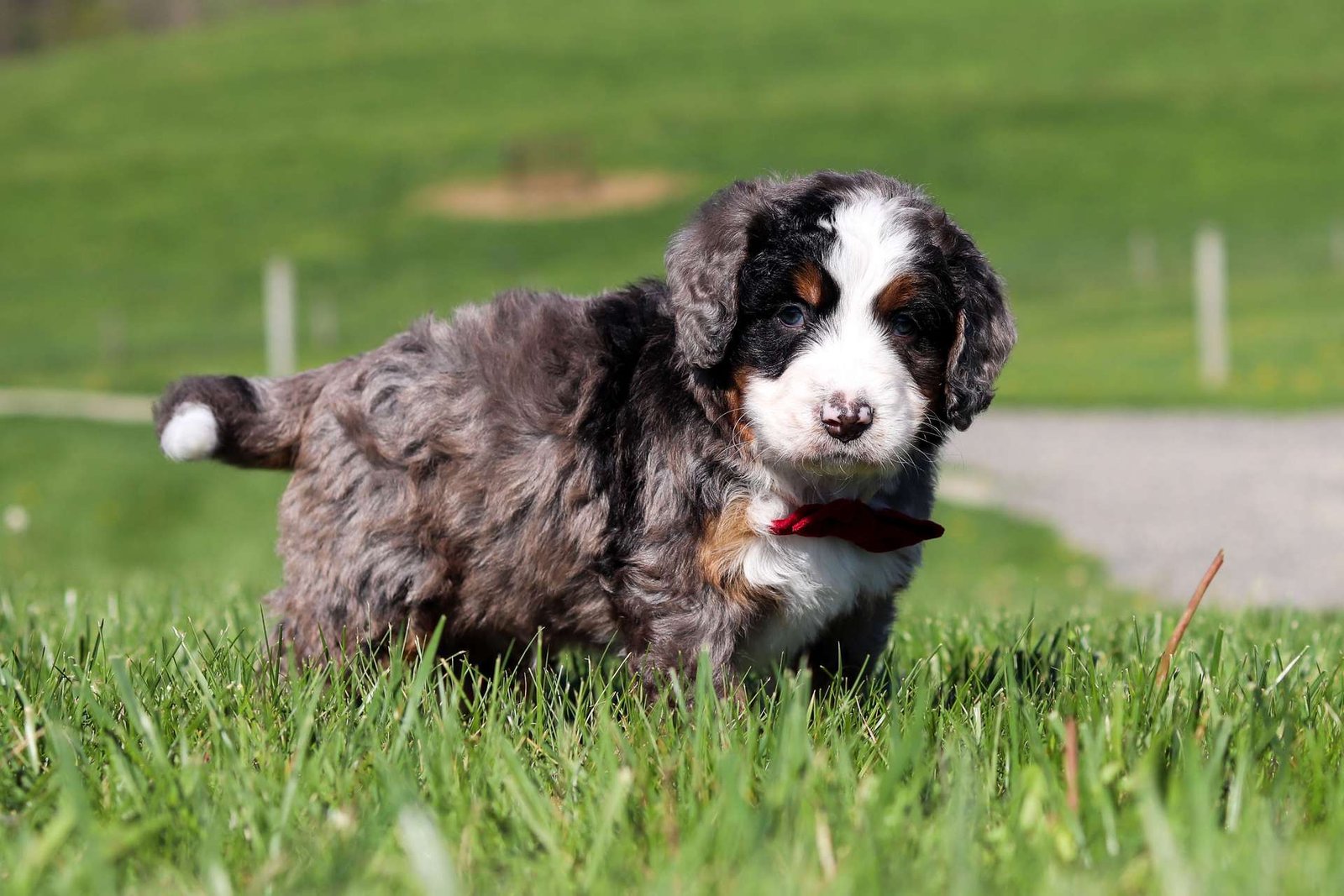 Baxter