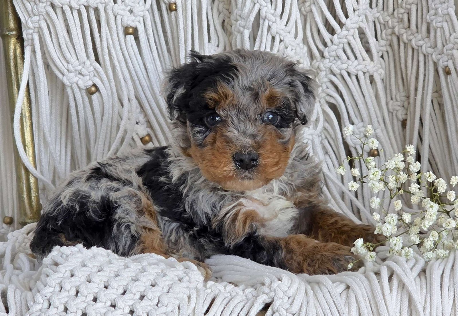 Winnie